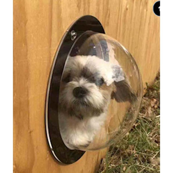 Pet Peek Other - Pet Peek Dog Window